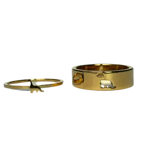 Dinosaur Matching Rings
