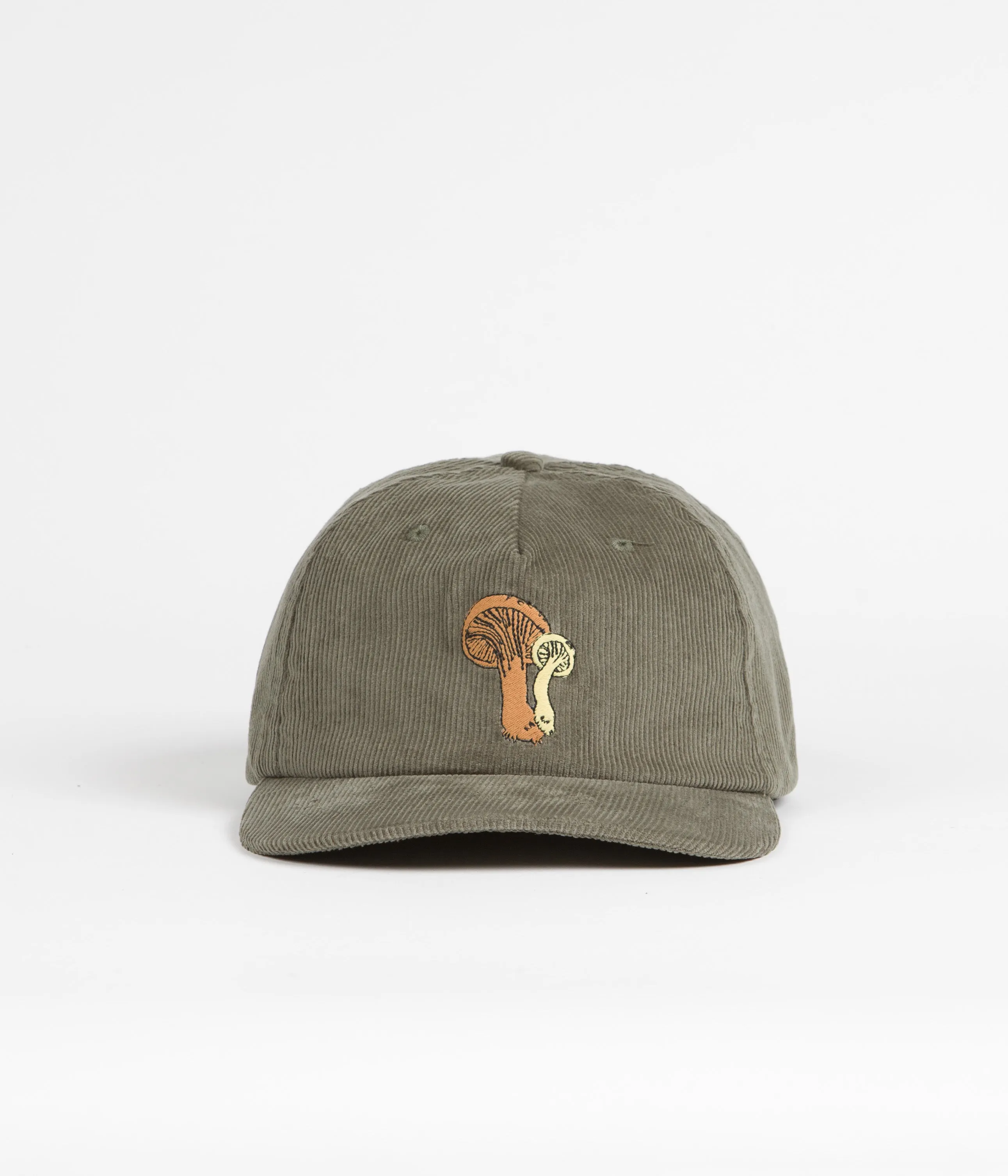 Mollusk Field Guide Corduroy Cap - Olive