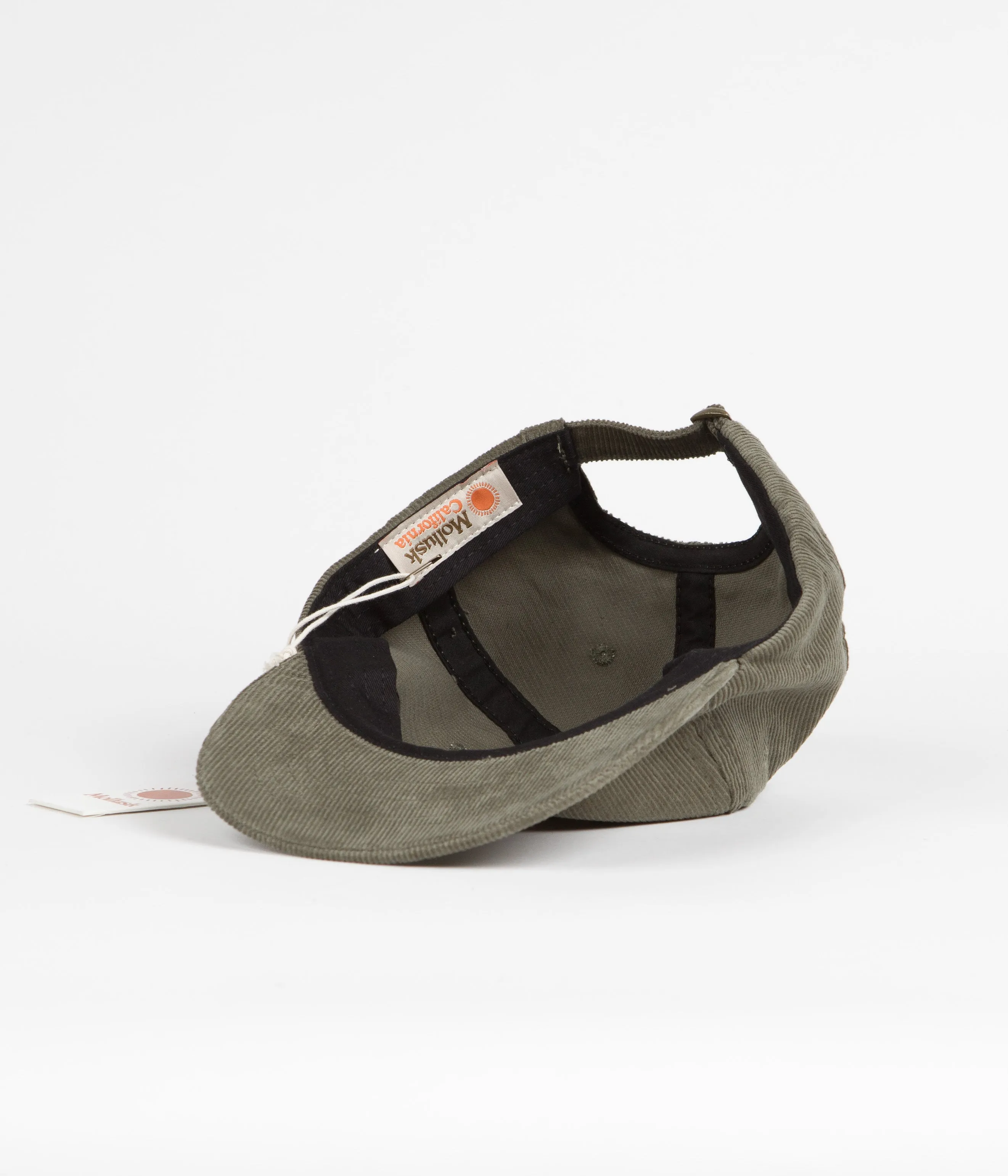 Mollusk Field Guide Corduroy Cap - Olive